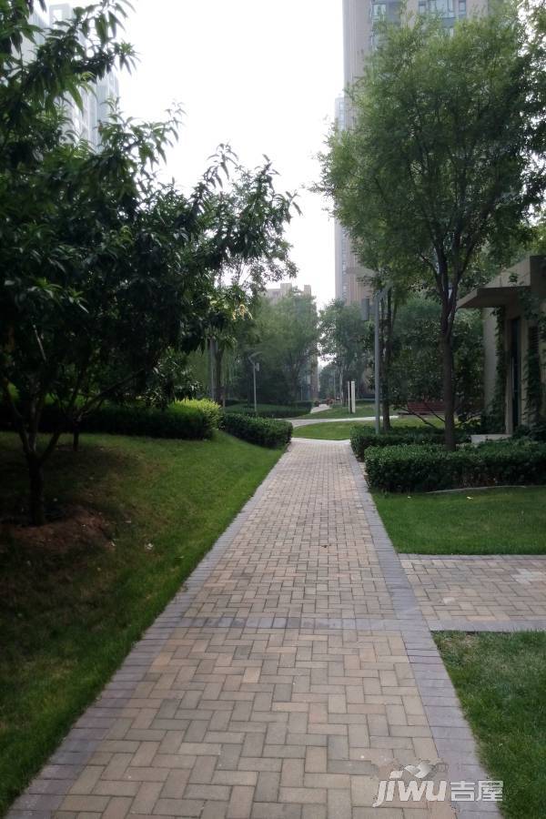中国铁建·国际城·8号实景图图片