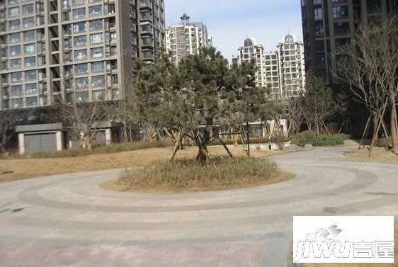 意华东贸国际实景图图片