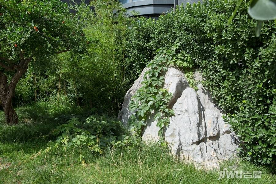 八斗最新房价及楼盘详情分析