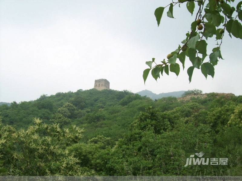 太师府别墅配套图图片