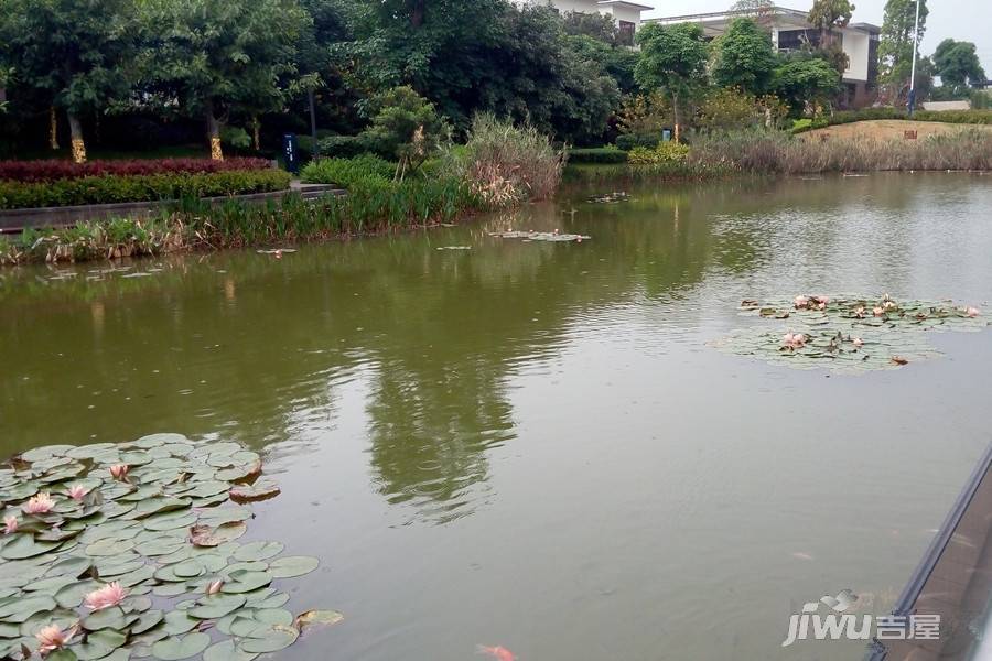 中惠松湖城实景图图片