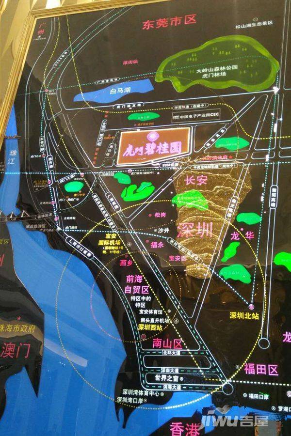 虎门碧桂园位置交通图图片
