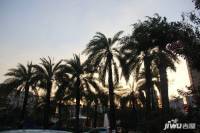 棕榈泉六期星光天地实景图图片
