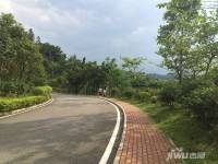 碧桂园翡翠山位置交通图图片
