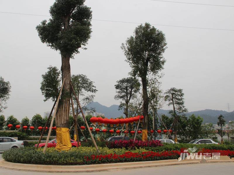 莲湖山庄实景图图片