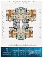 东成花园松湖兰岸普通住宅129㎡户型图