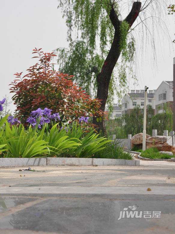 裕昌·水岸新城-裕昌·水岸新城小区绿化实景05.08-205