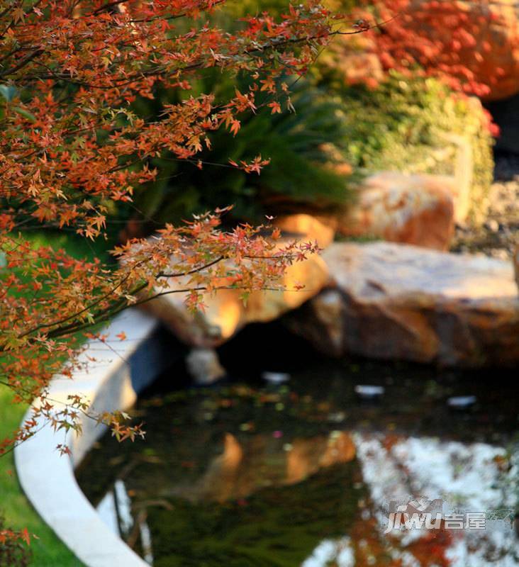 陆家嘴红醍半岛实景图图片