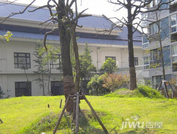 阳光城新界实景图图片