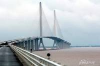 上海长兴海洋科技港实景图3