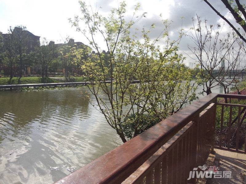 河畔艺墅实景图图片