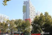 莱蒙中央公寓实景图11