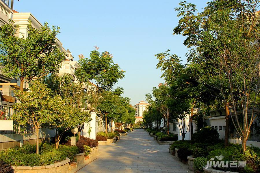 上海高尔夫社区实景图图片