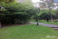 莱蒙中央公寓实景图11