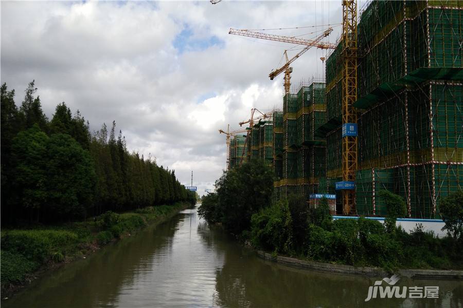 大名城紫金九号实景图图片