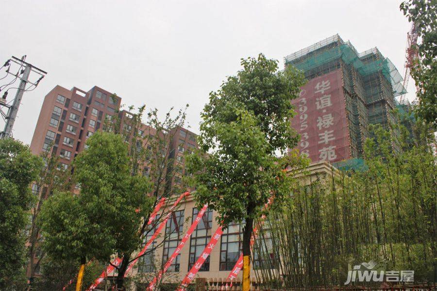华谊禄丰苑实景图图片