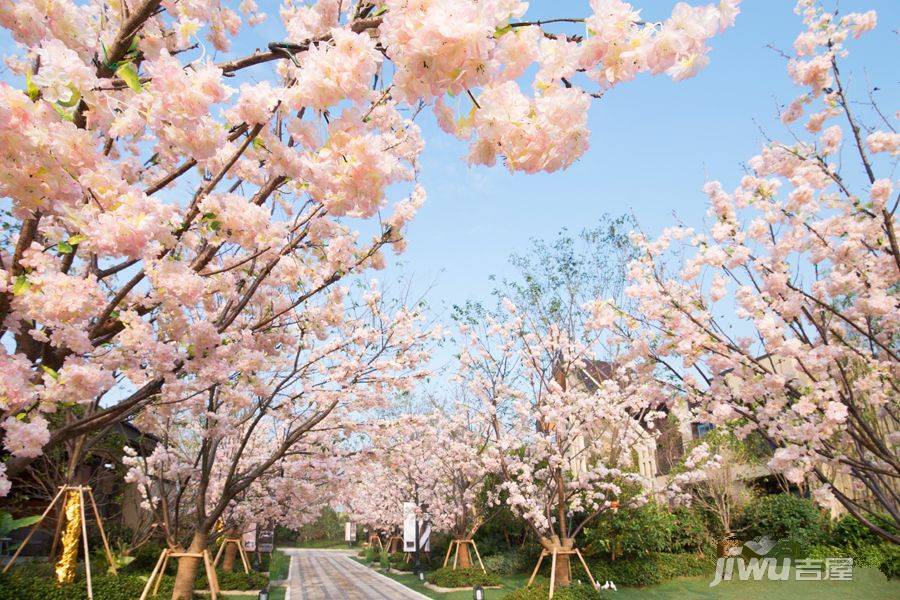 新城上坤樾山四季实景图图片