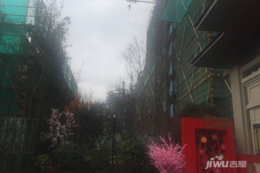 碧桂园浦东星作实景图图片