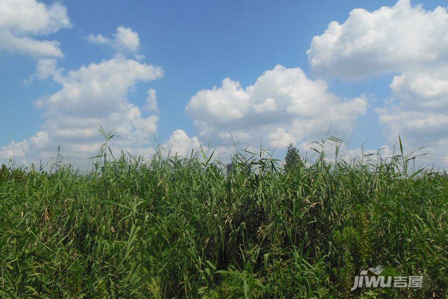 福晟钱隆广场实景图