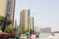 上海派II实景图图片
