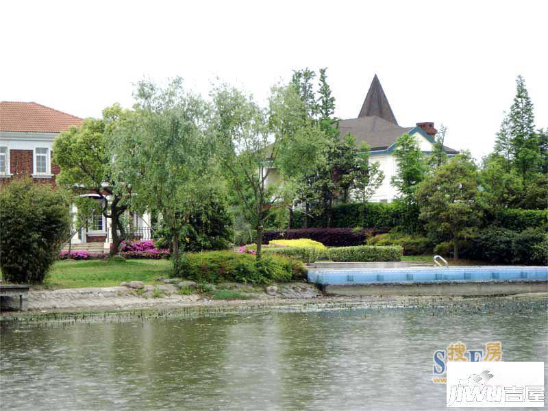紫都上海晶园实景图图片