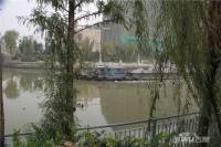 珠江国际中心悦公馆实景图图片