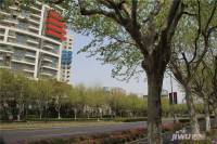 莱蒙中央公寓实景图11