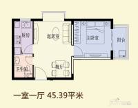 隆兴宜居1室1厅1卫45.4㎡户型图