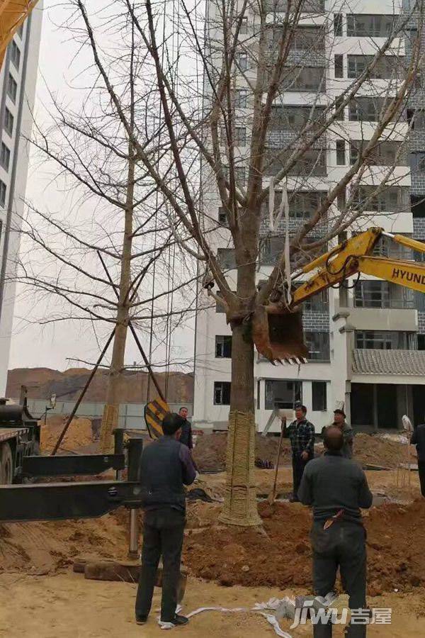 杰地润园实景图图片