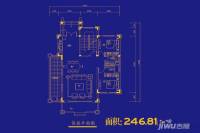 神力嘉南美地普通住宅246.8㎡户型图