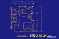 神力嘉南美地普通住宅251.4㎡户型图