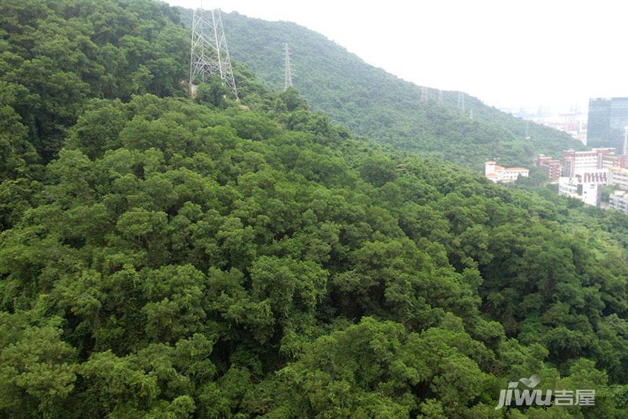 新世界倚山花园溱澜位置交通图图片