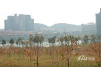 惠州雅居乐白鹭湖实景图图片