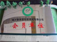 鲁南国际茶博城售楼处图片