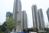 后园馨园彼岸实景图图片