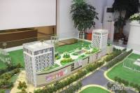 金玉祥和实景图图片