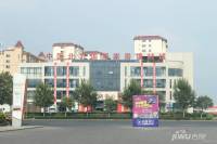 中国北方国际家居建材城实景图2