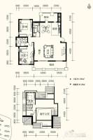 金泰舒格蘭普通住宅184㎡户型图