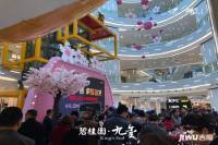 碧桂园九玺实景图1