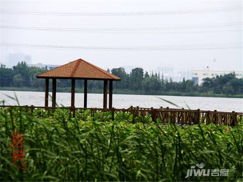 雅戈爾·沙湖天地-雅戈爾99沙湖天地項目西側東沙湖生態公園-18