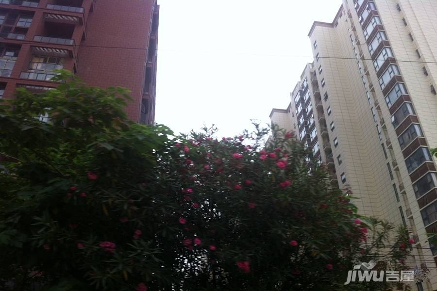 珠江首府悦城实景图图片