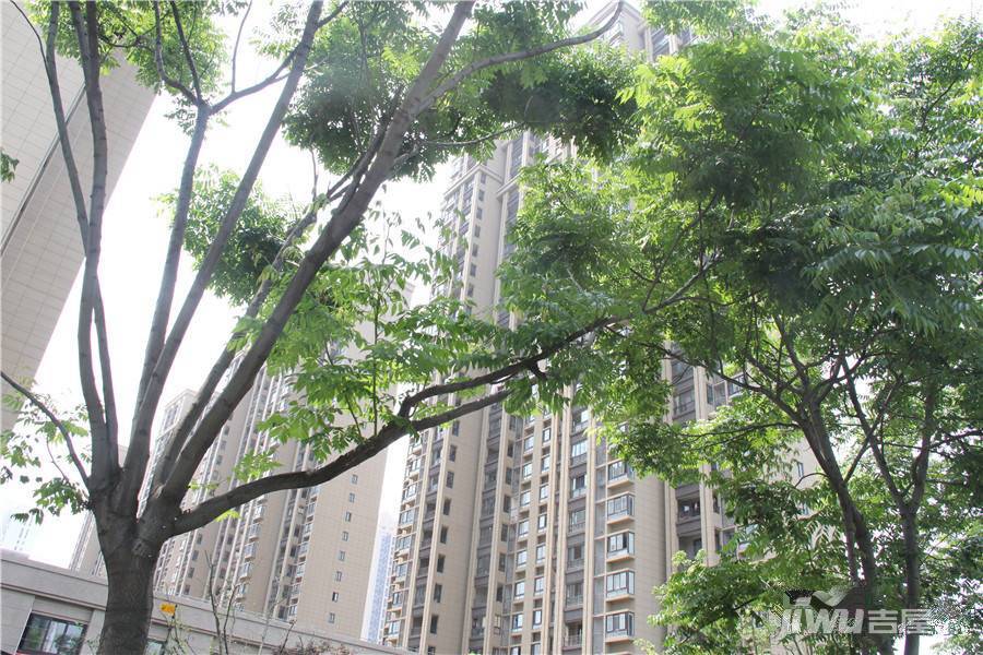 天地源七里香都实景图图片