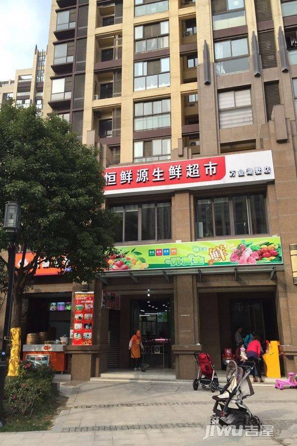 万业湖墅金典实景图图片