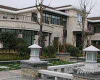 江南岸效果图