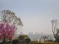 保利独墅西岸别墅实景图图片