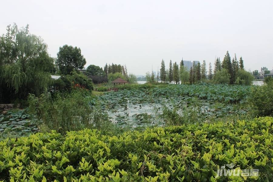 翠湖湾实景图图片