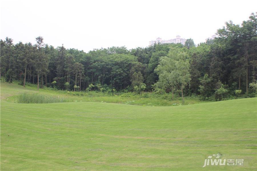 兴茂南山公馆(高层/洋房)实景图图片