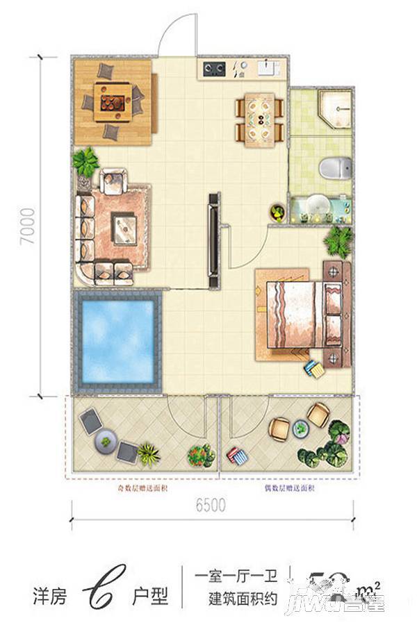 白桦林家温泉1室1厅1卫59㎡户型图