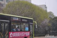 福林海棠苑位置交通图图片