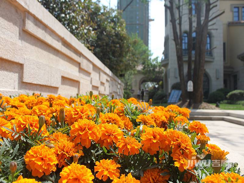 信华城城誉实景图图片